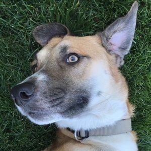 Meet your Posher, Jade